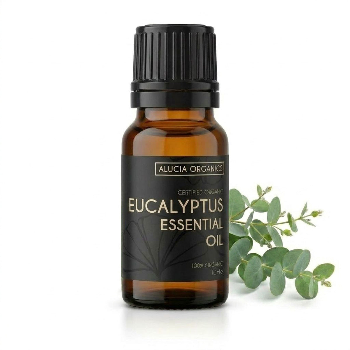 Organic Eucalyptus Essential Oil